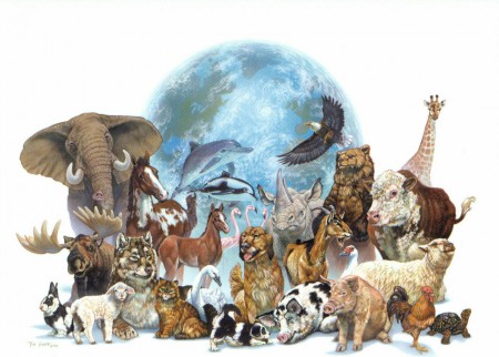 SESION REIKI PARA ANIMALES